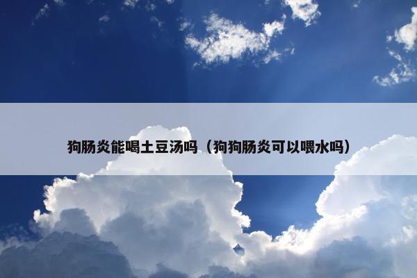 狗肠炎能喝土豆汤吗（狗狗肠炎可以喂水吗）