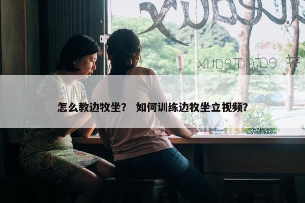 怎么教边牧坐？ 如何训练边牧坐立视频？