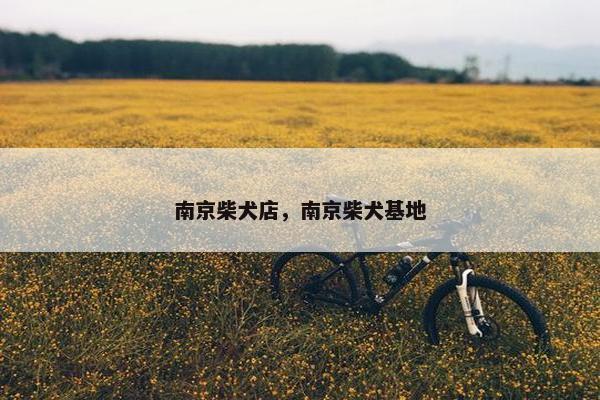南京柴犬店，南京柴犬基地