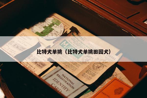 比特犬单挑（比特犬单挑田园犬）