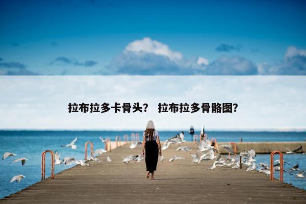 拉布拉多卡骨头？ 拉布拉多骨骼图？