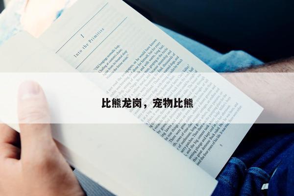 比熊龙岗，宠物比熊