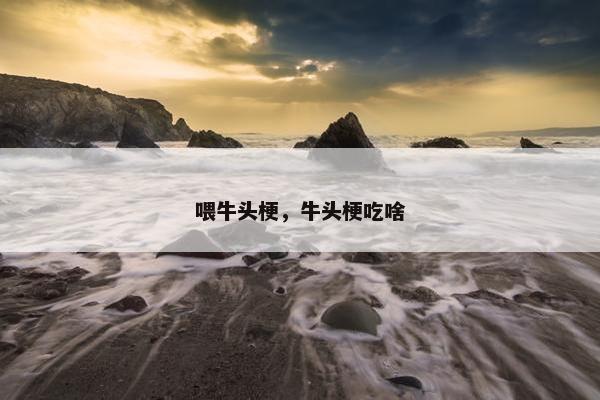 喂牛头梗，牛头梗吃啥