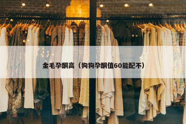 金毛孕酮高（狗狗孕酮值60能配不）