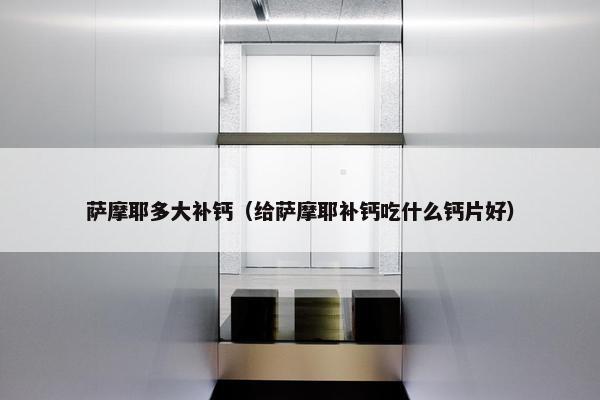萨摩耶多大补钙（给萨摩耶补钙吃什么钙片好）