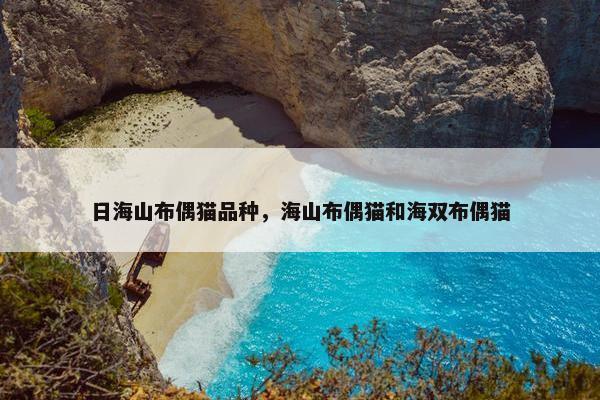 日海山布偶猫品种，海山布偶猫和海双布偶猫