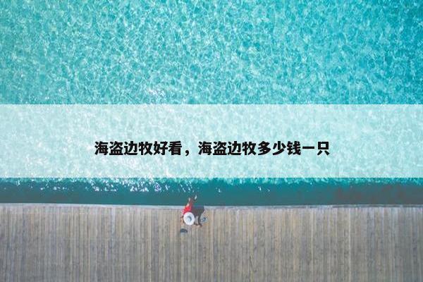 海盗边牧好看，海盗边牧多少钱一只