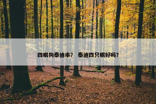 四眼狗泰迪串？ 泰迪四只眼好吗？