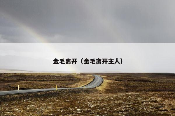 金毛离开（金毛离开主人）