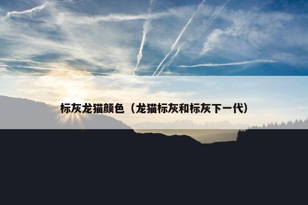 标灰龙猫颜色（龙猫标灰和标灰下一代）