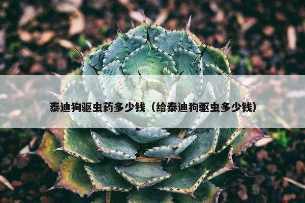 泰迪狗驱虫药多少钱（给泰迪狗驱虫多少钱）