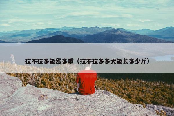拉不拉多能涨多重（拉不拉多多犬能长多少斤）