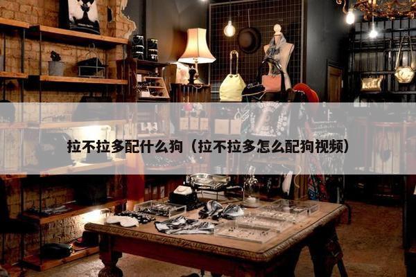 拉不拉多配什么狗（拉不拉多怎么配狗视频）