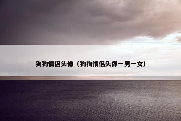 狗狗情侣头像（狗狗情侣头像一男一女）