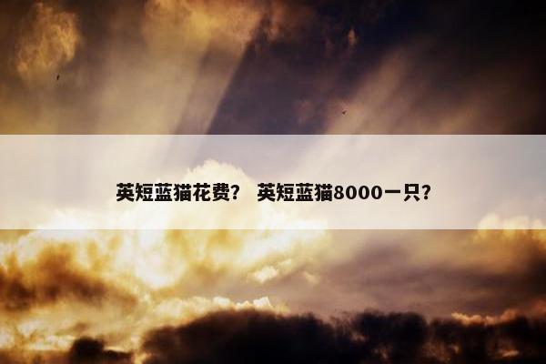 英短蓝猫花费？ 英短蓝猫8000一只？