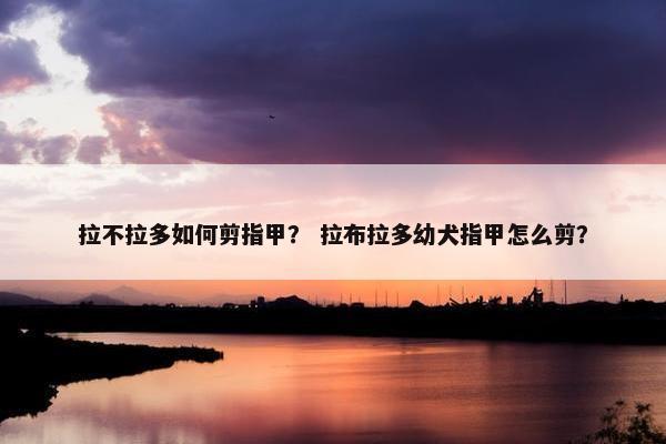 拉不拉多如何剪指甲？ 拉布拉多幼犬指甲怎么剪？