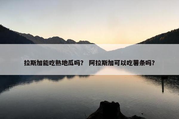 拉斯加能吃熟地瓜吗？ 阿拉斯加可以吃薯条吗？