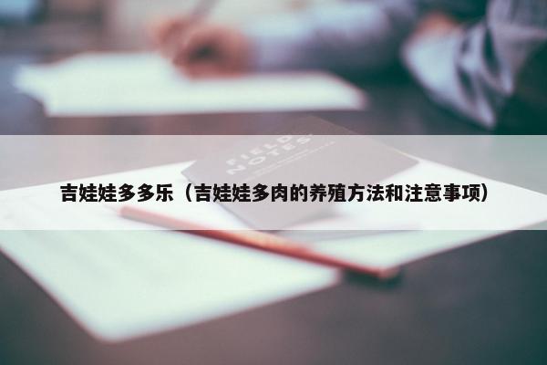 吉娃娃多多乐（吉娃娃多肉的养殖方法和注意事项）