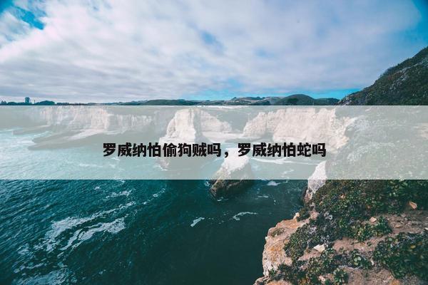 罗威纳怕偷狗贼吗，罗威纳怕蛇吗