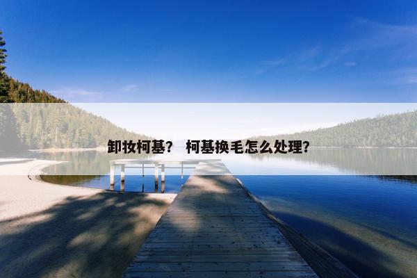 卸妆柯基？ 柯基换毛怎么处理？