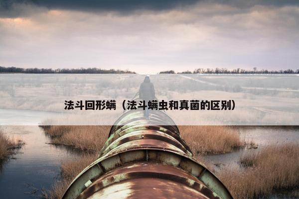 法斗回形螨（法斗螨虫和真菌的区别）