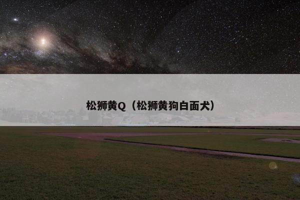 松狮黄Q（松狮黄狗白面犬）