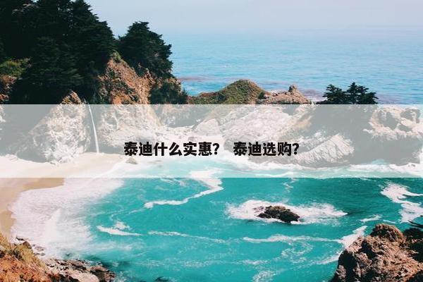 泰迪什么实惠？ 泰迪选购？