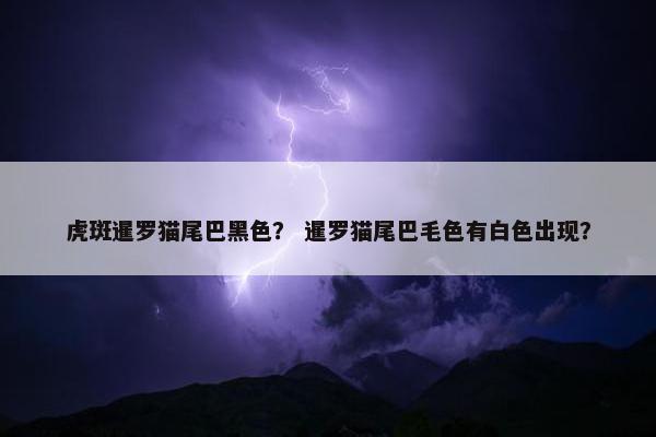 虎斑暹罗猫尾巴黑色？ 暹罗猫尾巴毛色有白色出现？