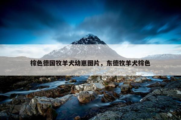棕色德国牧羊犬幼崽图片，东德牧羊犬棕色