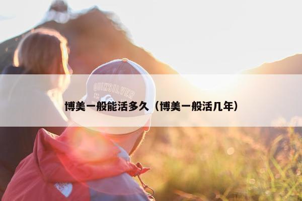 博美一般能活多久（博美一般活几年）