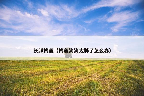 长胖博美（博美狗狗太胖了怎么办）