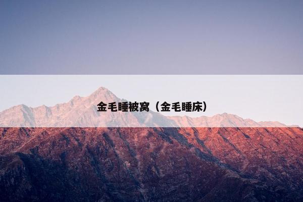 金毛睡被窝（金毛睡床）