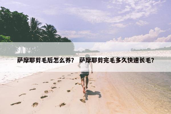 萨摩耶剪毛后怎么养？ 萨摩耶剪完毛多久快速长毛？