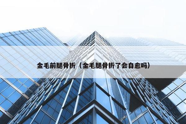 金毛前腿骨折（金毛腿骨折了会自愈吗）