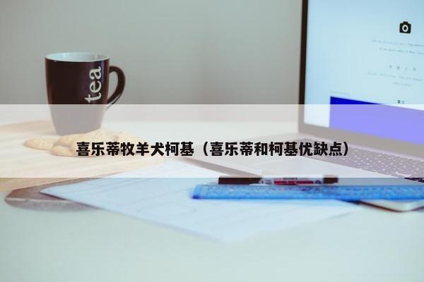 喜乐蒂牧羊犬柯基（喜乐蒂和柯基优缺点）