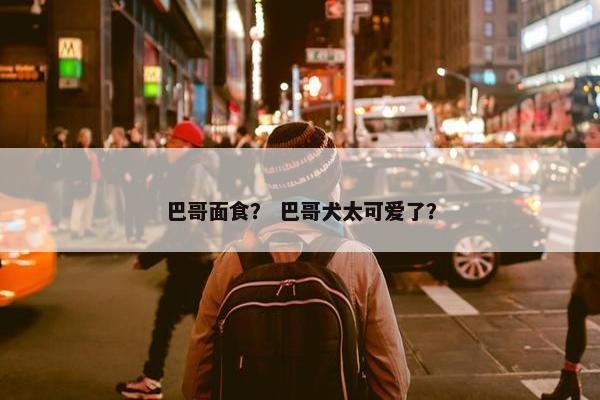 巴哥面食？ 巴哥犬太可爱了？