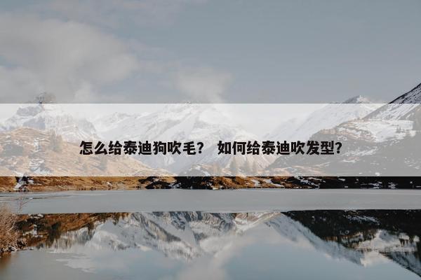 怎么给泰迪狗吹毛？ 如何给泰迪吹发型？