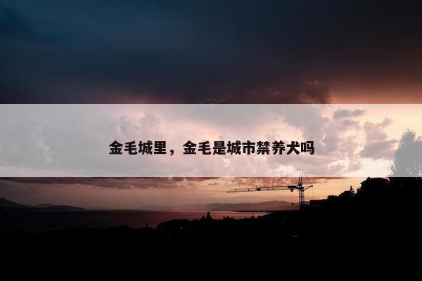 金毛城里，金毛是城市禁养犬吗