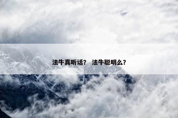 法牛真听话？ 法牛聪明么？