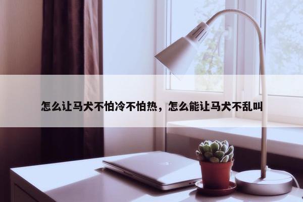 怎么让马犬不怕冷不怕热，怎么能让马犬不乱叫