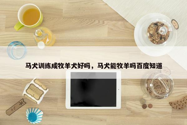 马犬训练成牧羊犬好吗，马犬能牧羊吗百度知道