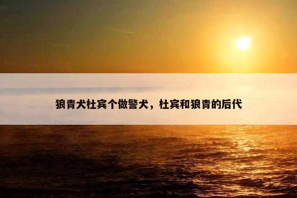 狼青犬杜宾个做警犬，杜宾和狼青的后代