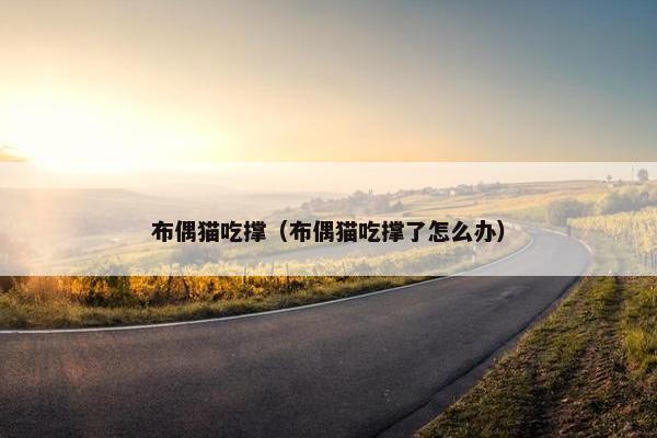 布偶猫吃撑（布偶猫吃撑了怎么办）