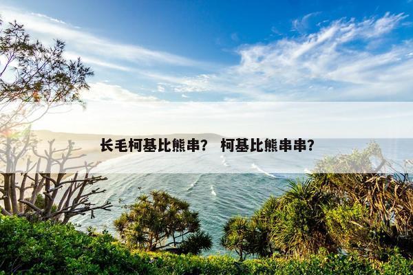 长毛柯基比熊串？ 柯基比熊串串？