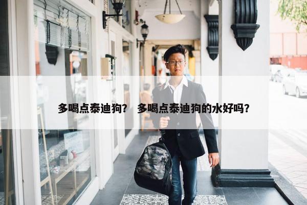 多喝点泰迪狗？ 多喝点泰迪狗的水好吗？