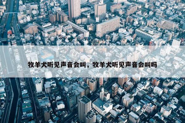 牧羊犬听见声音会叫，牧羊犬听见声音会叫吗