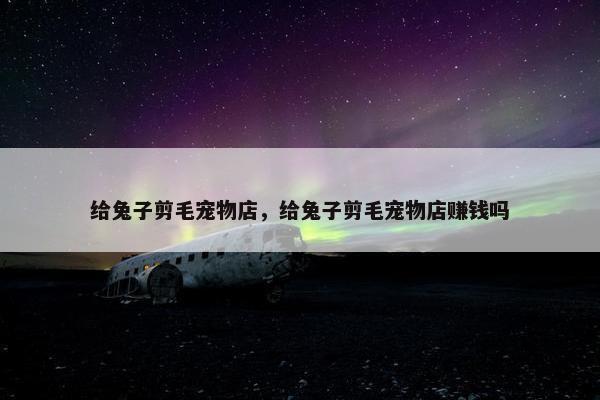 给兔子剪毛宠物店，给兔子剪毛宠物店赚钱吗