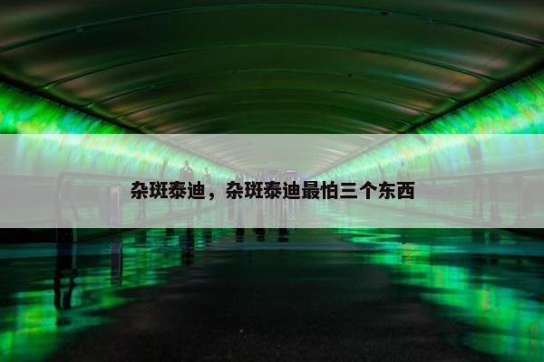 杂斑泰迪，杂斑泰迪最怕三个东西