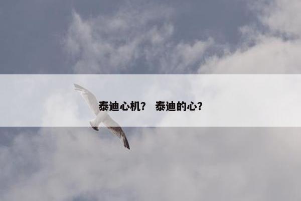 泰迪心机？ 泰迪的心？