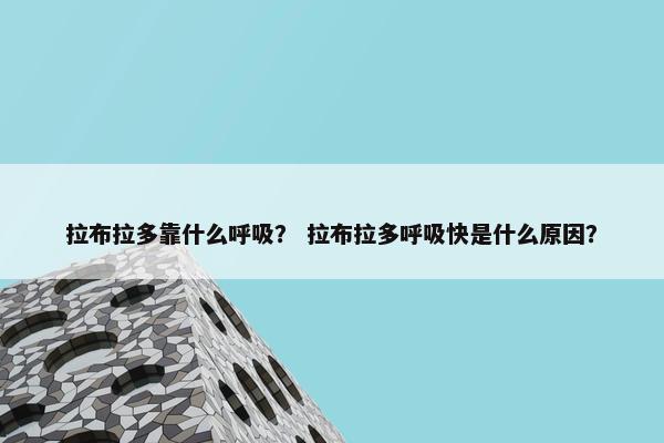 拉布拉多靠什么呼吸？ 拉布拉多呼吸快是什么原因？